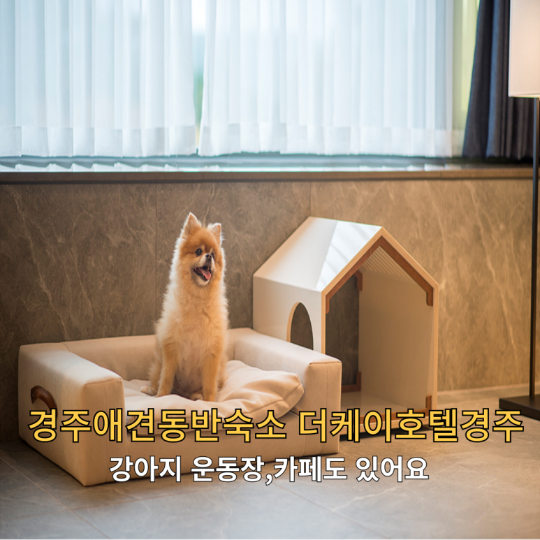 더케이트래블 이미지