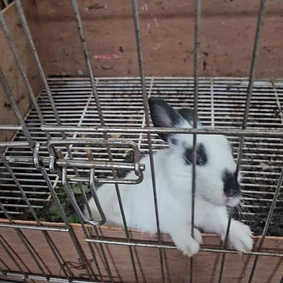 전주곤충캠퍼스 이미지