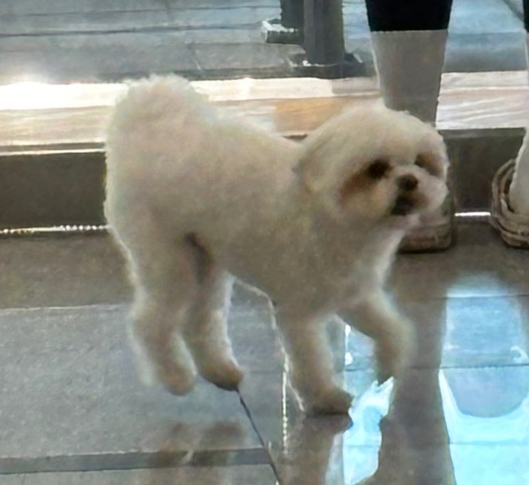 보름 이미지