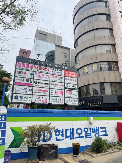 남쪽나라 사진 5