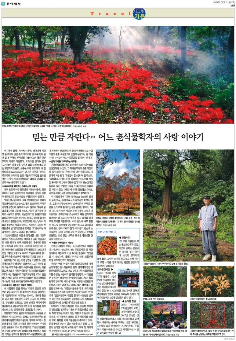 송아트 이미지
