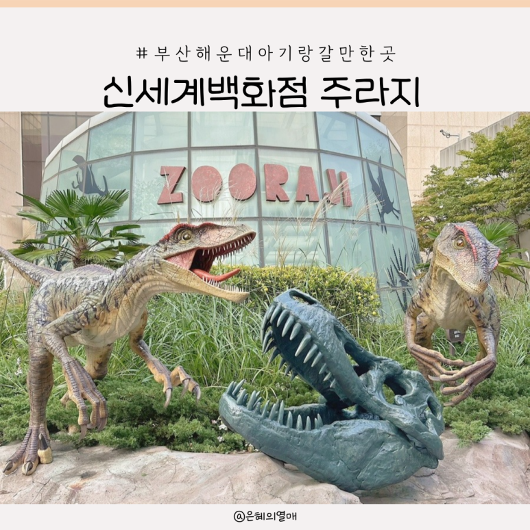 주라지(ZOORAJI) 이미지