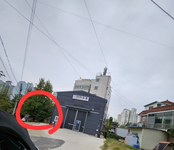 1179아동복 이미지