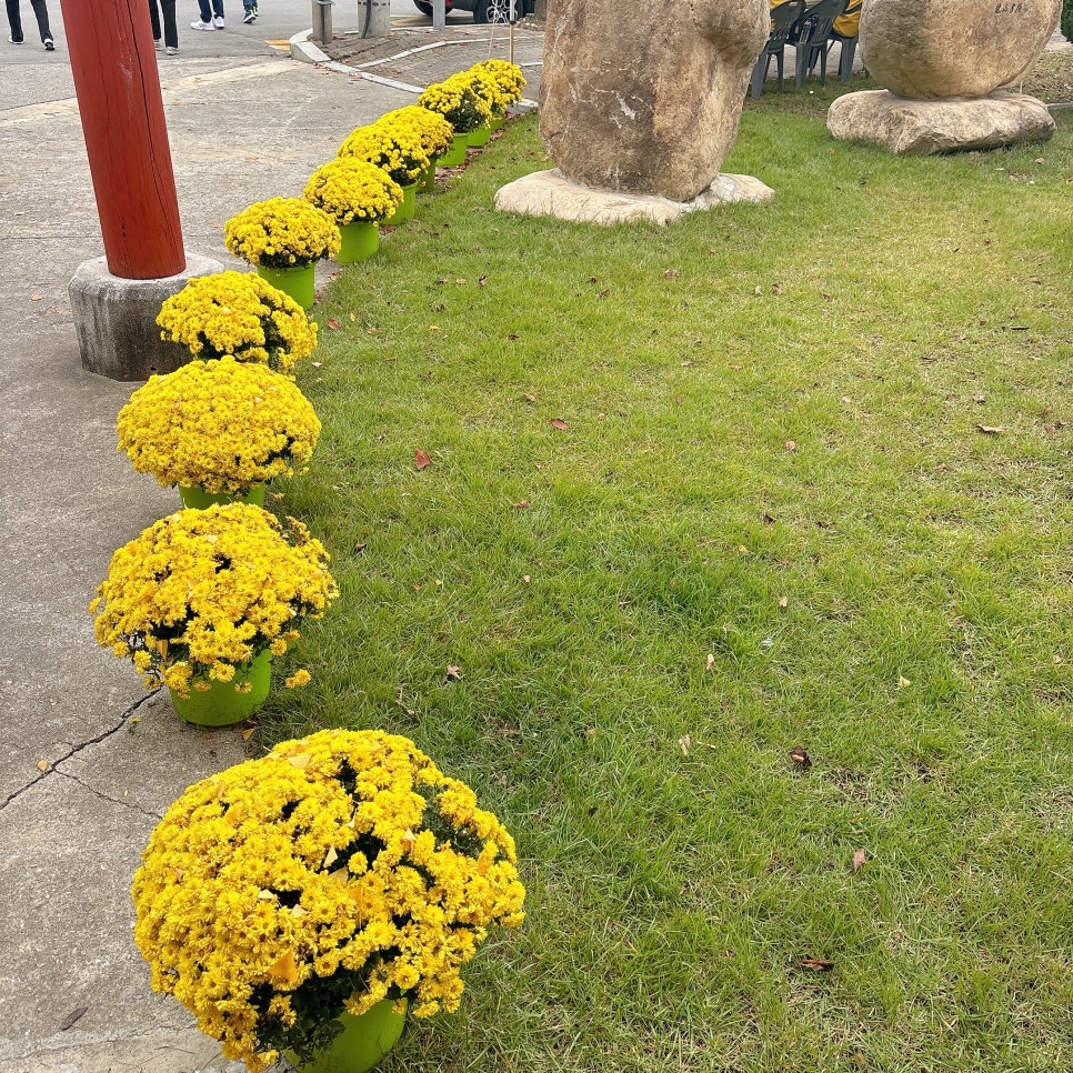 해파랑고고장구 이미지