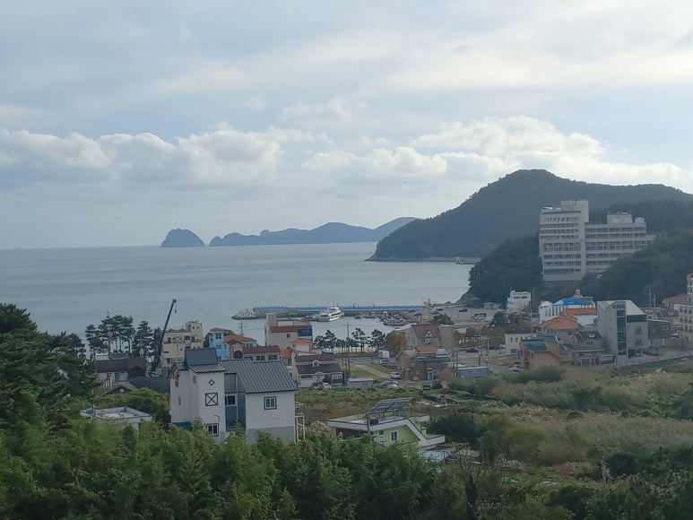 도개스파 이미지