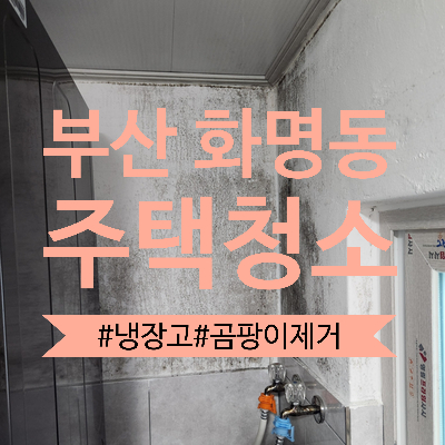 에스앤비클린 이미지