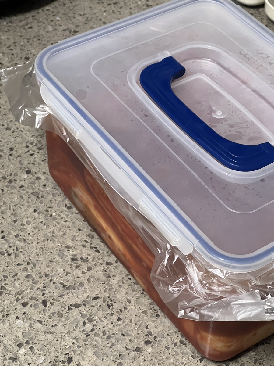 싱싱와글와글 이미지