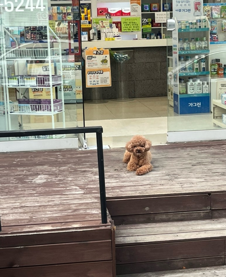 더키친글라 이미지