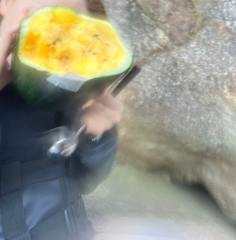지리산 벚꽃 카라반 캠핑장 이미지