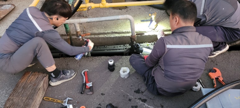 삼육공사 이미지