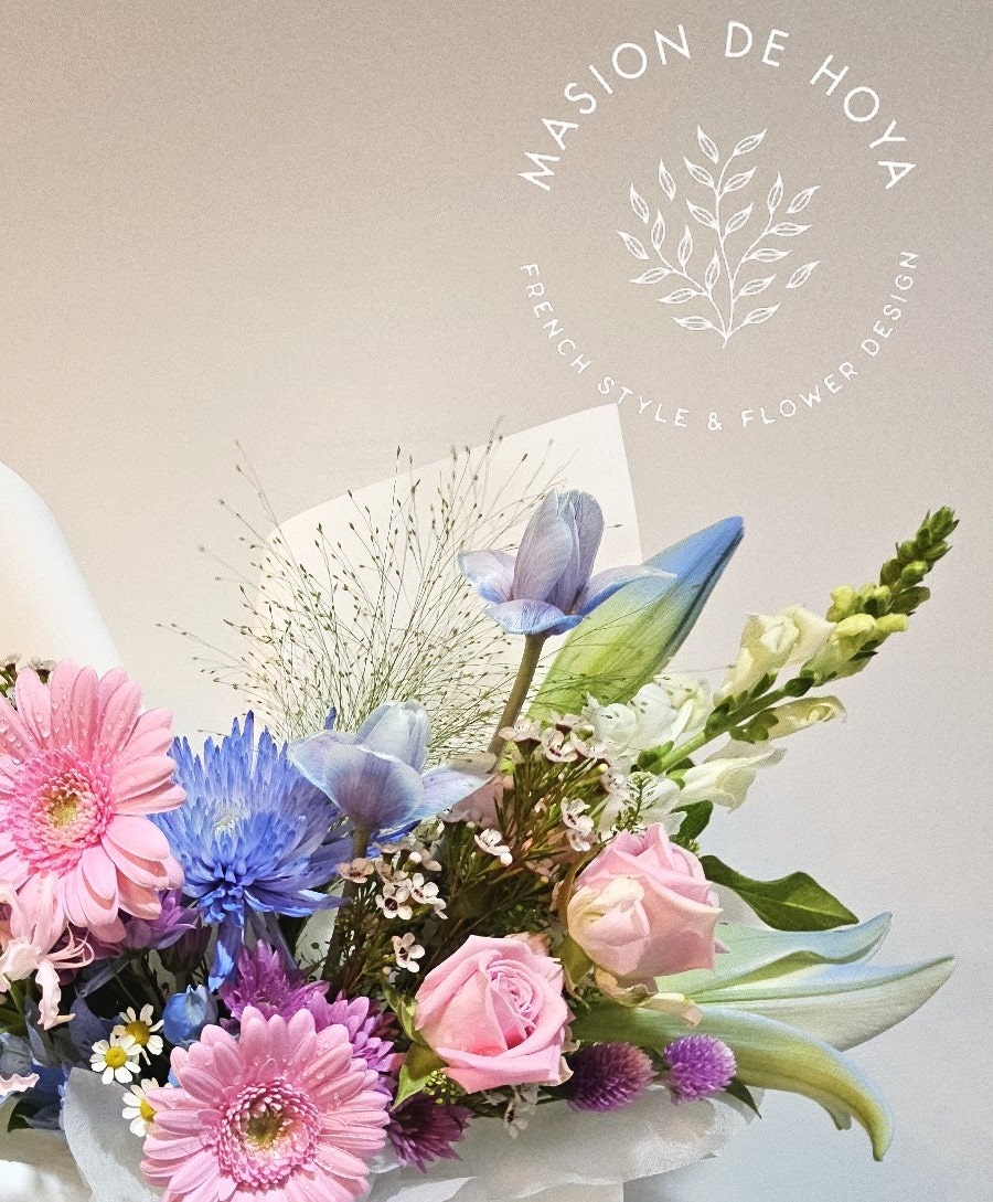 메종드호야 이미지