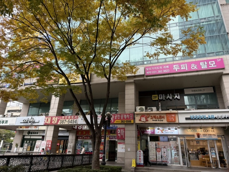 블룸메이크업&퍼스널컬러 이미지