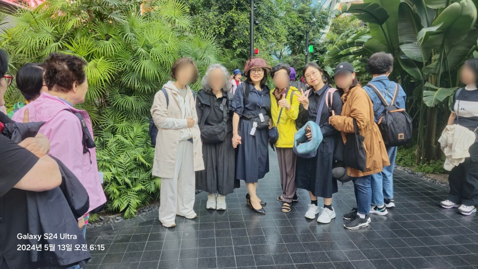 도하 이미지