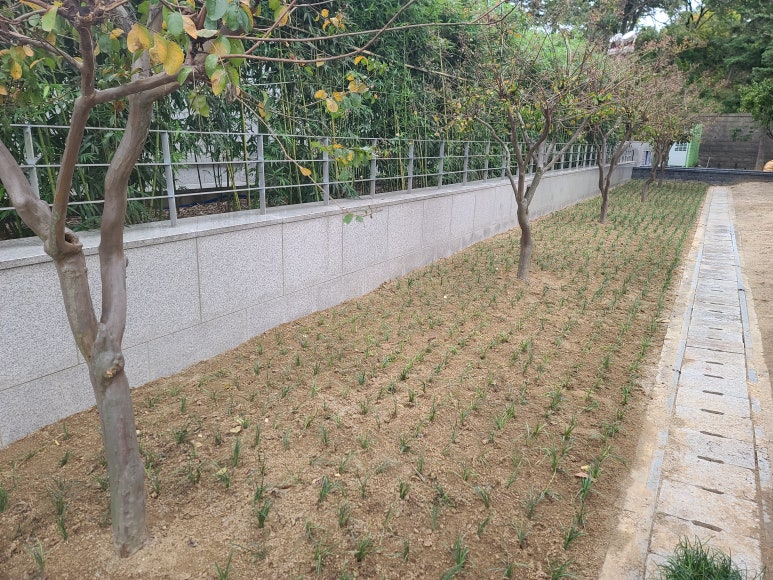 조양환경(주) 이미지