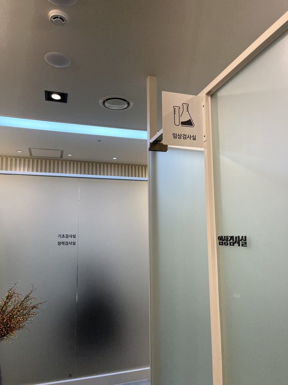 오율의원마곡 이미지