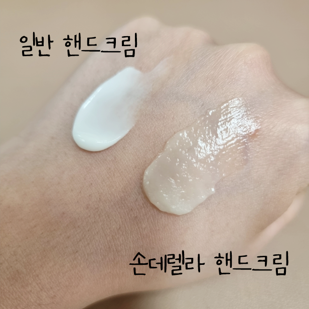 손데렐라 이미지
