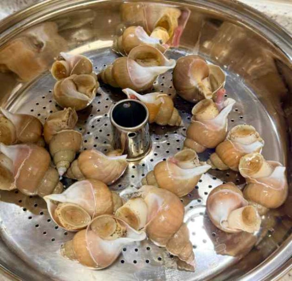 꿀맛 농수산 이미지