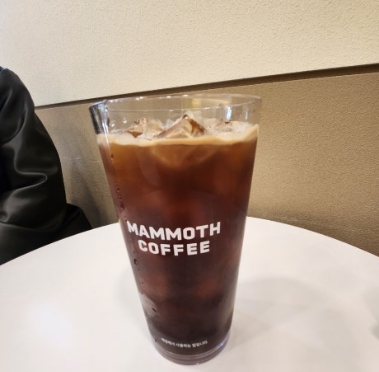 매머드익스프레스 이미지