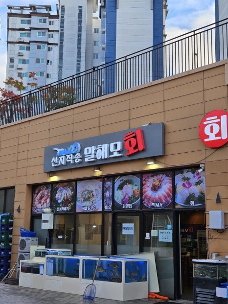 말해모회 이미지