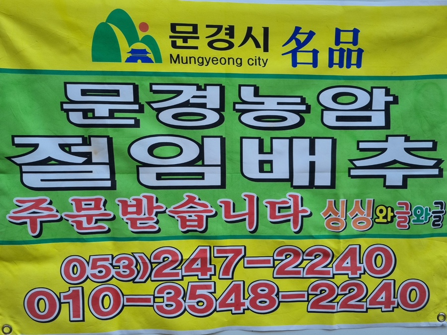 싱싱와글와글 이미지