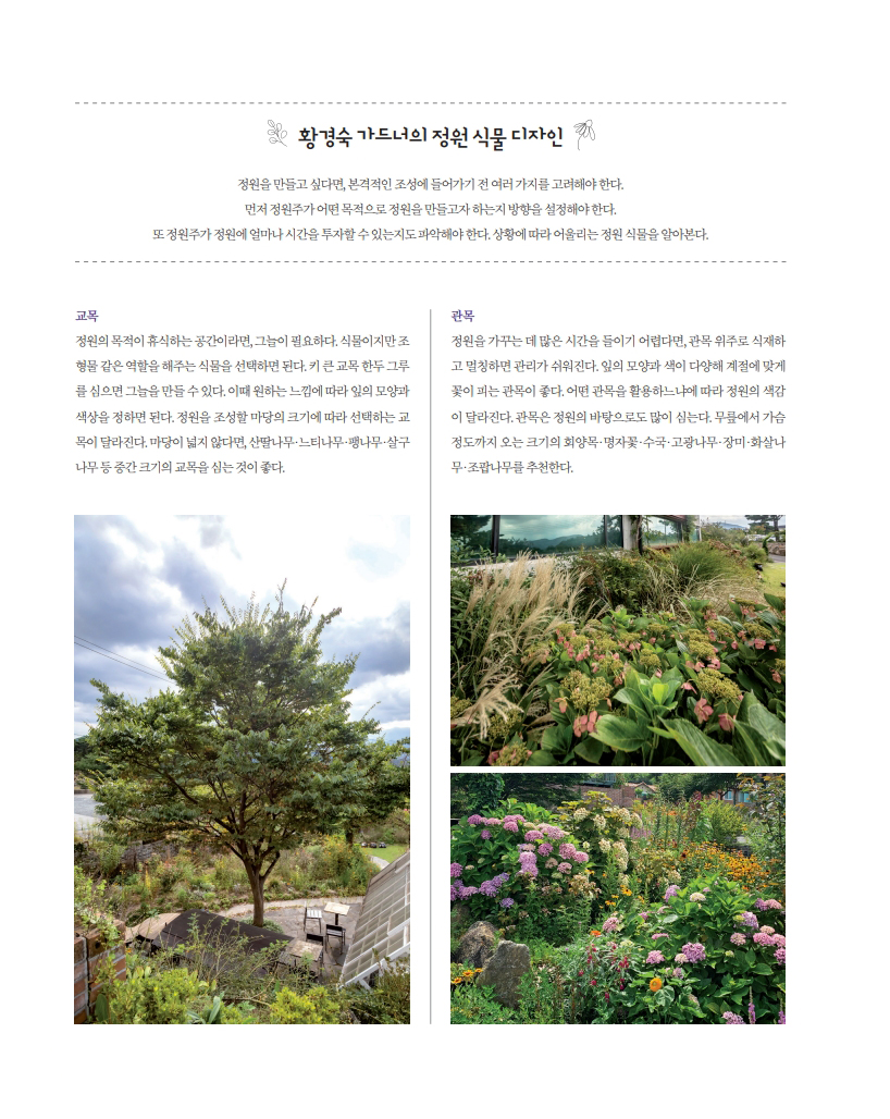 시간무늬 이미지