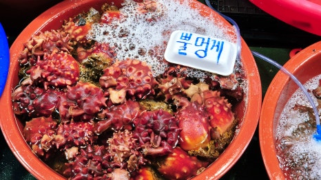 김포수산시장 이미지