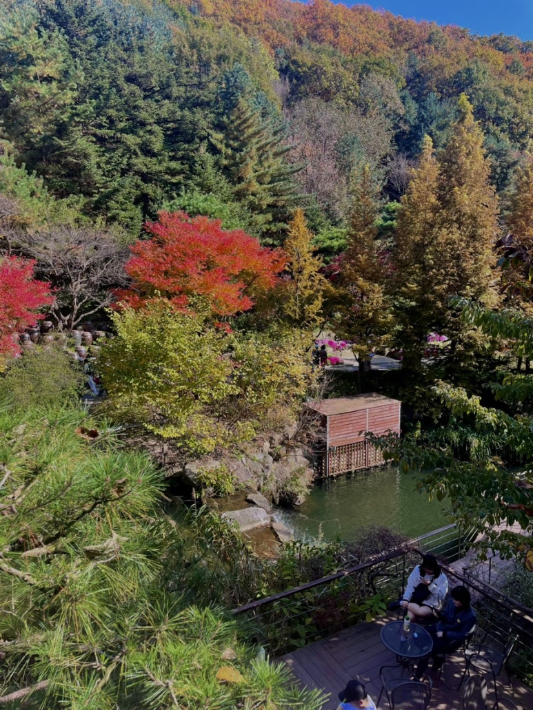 화담조경 이미지