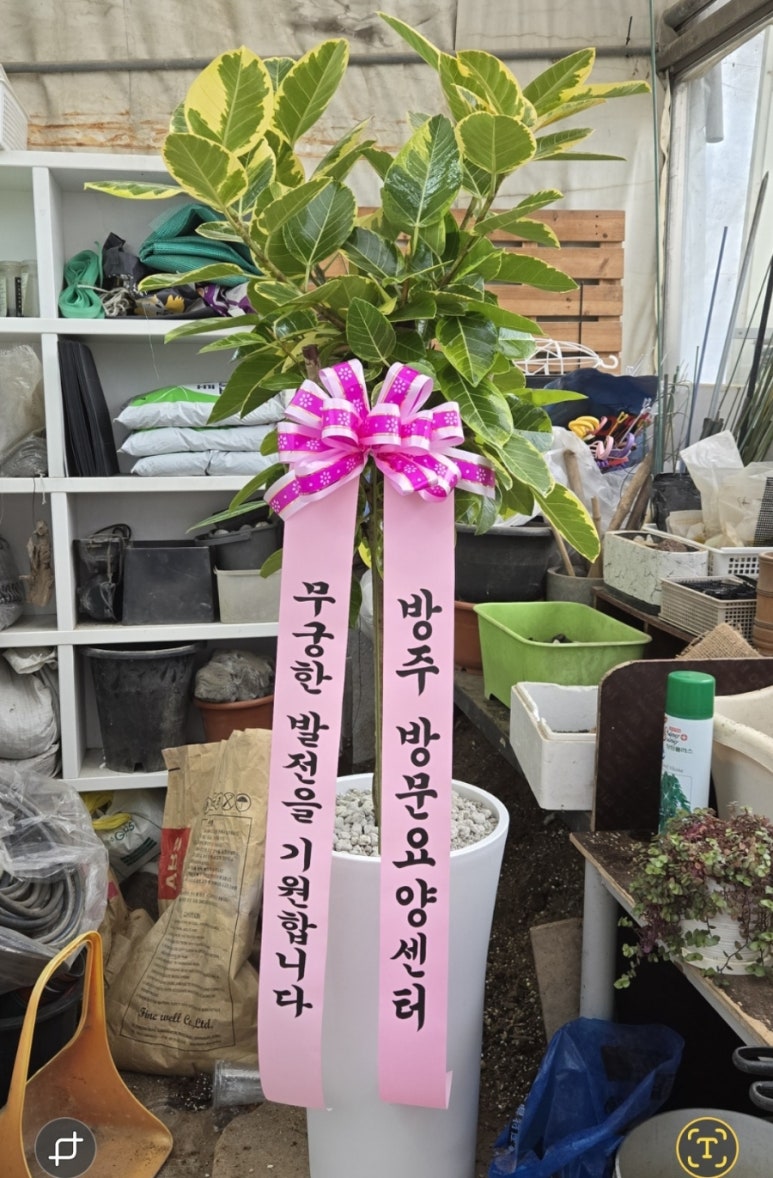 해성꽃농원 이미지
