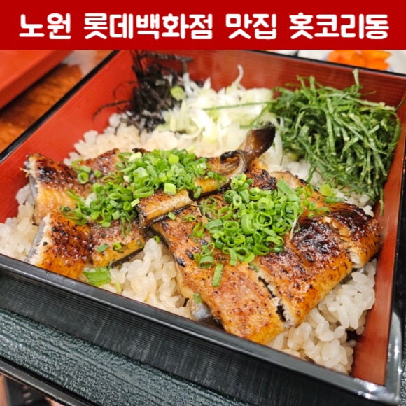 홋코리동 이미지