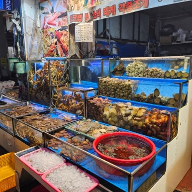 선돌수산 이미지