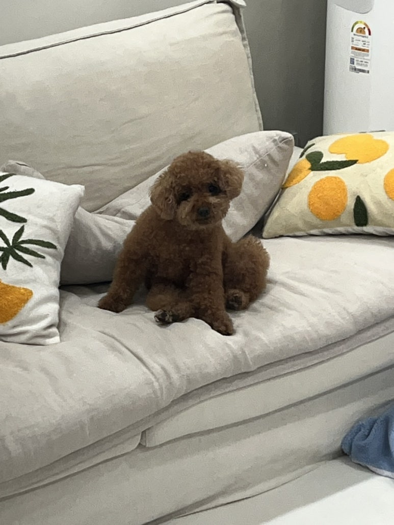 순이오겹살 이미지