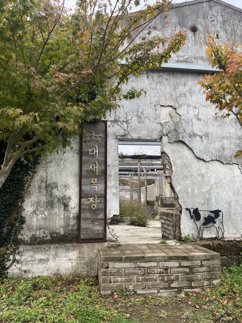 대새환경 이미지