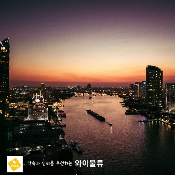 커넥트와이 이미지