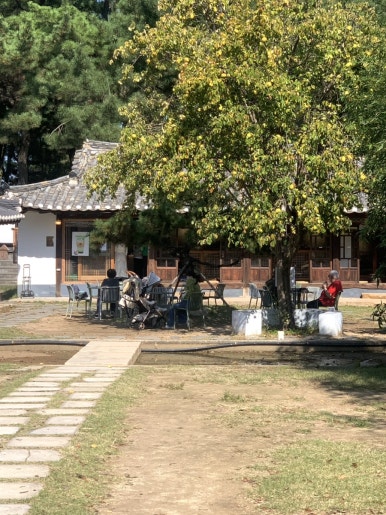 인지솔카페 이미지