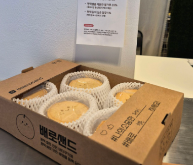 배로샌드 이미지