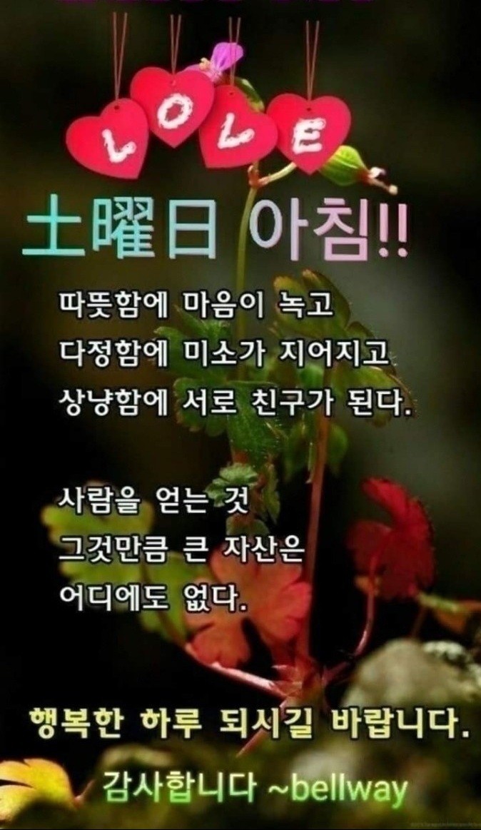 에이스건물관리 이미지