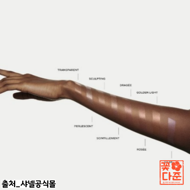 바움크리에이티브 이미지