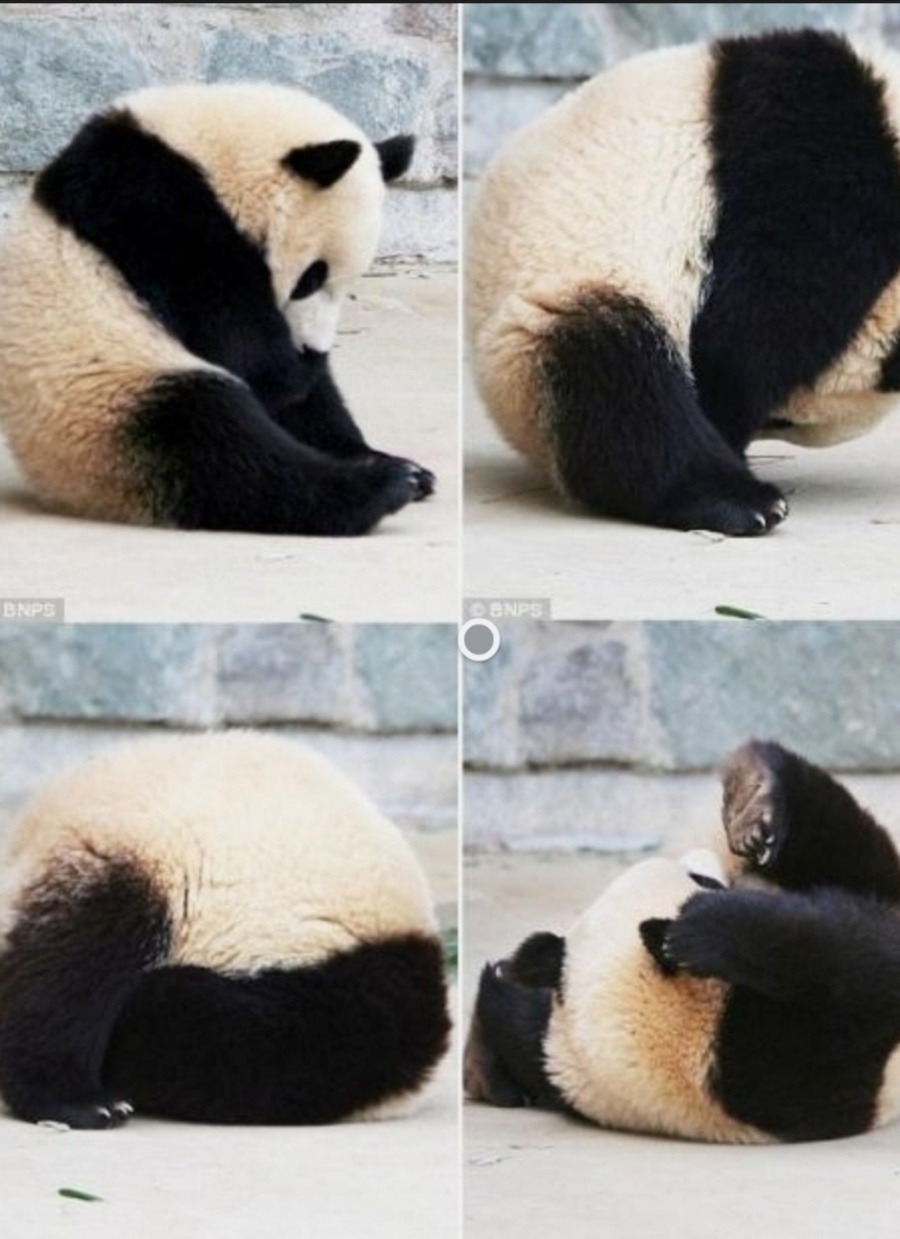 이끼와돌 이미지