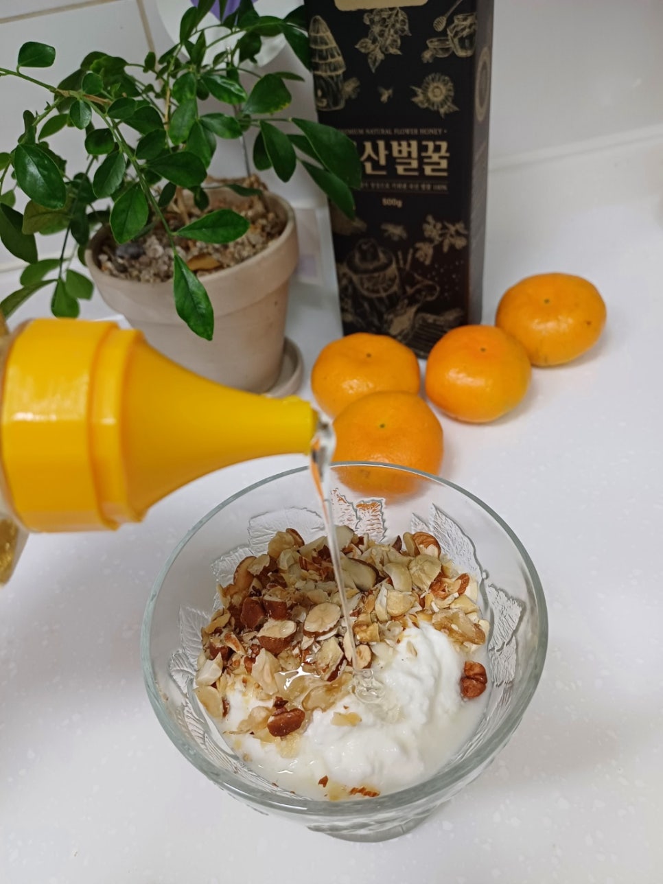 진미농원 이미지