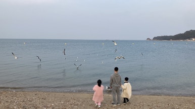 해와랑 이미지