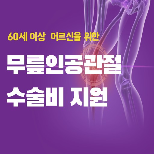 원지원 이미지