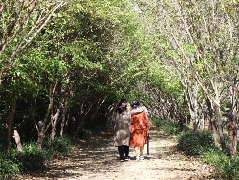 천년의정원 이미지