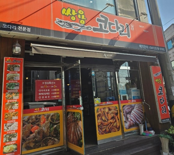 쌍용코다리 이미지