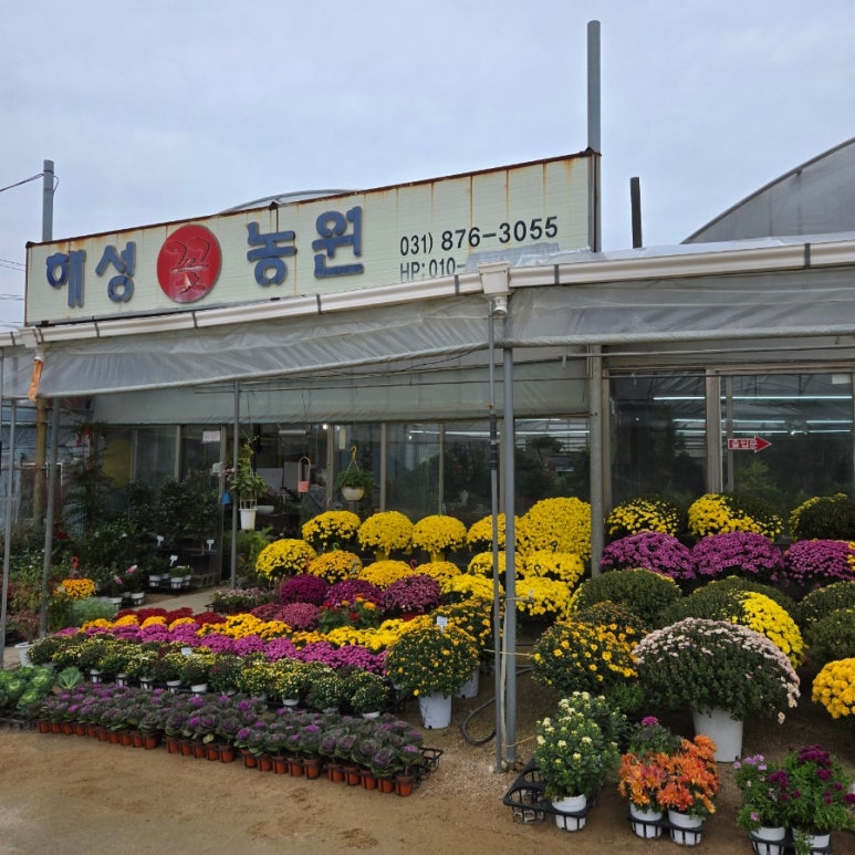 해성꽃농원 이미지