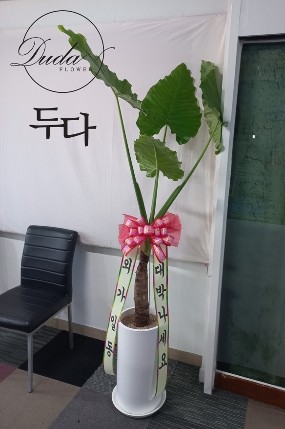 명품당구장 이미지