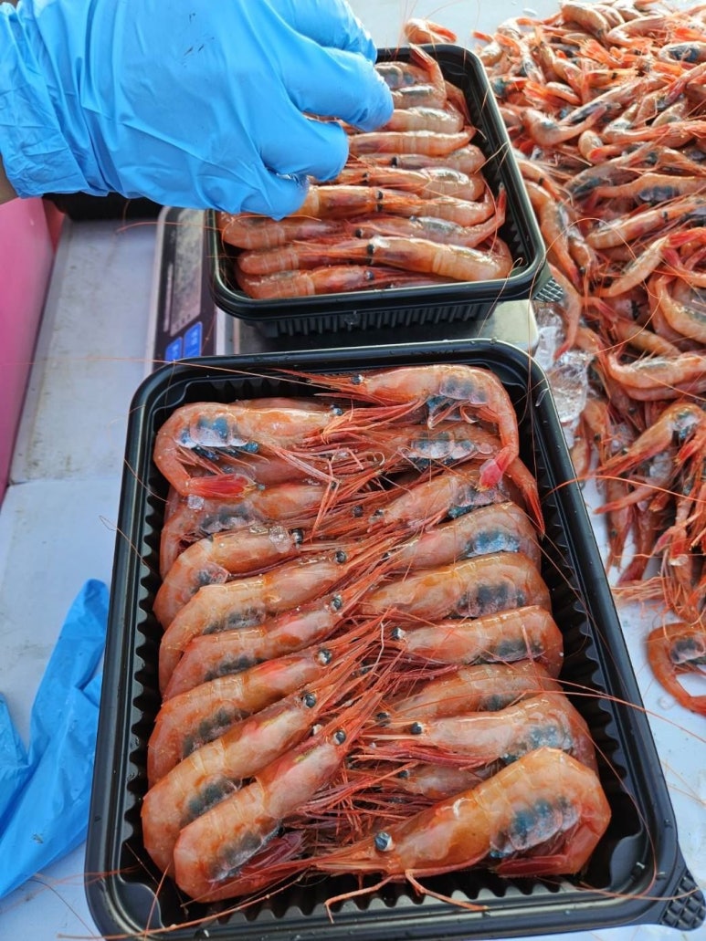 싱싱농수산 이미지