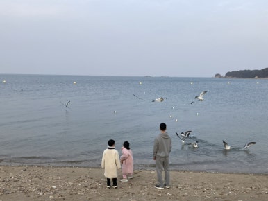 해와랑 이미지