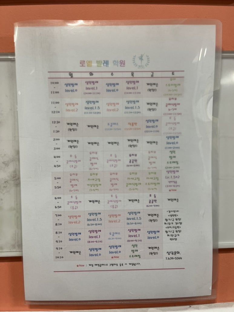 로엘발레아카데미학원 이미지