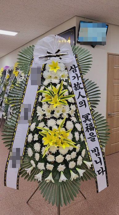 빛가람종합병원 이미지