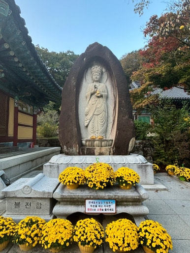 하성일복집 이미지